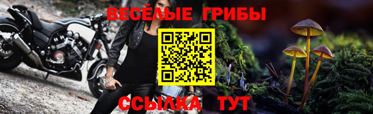 Галлюциногенные грибы MAGIC MUSHROOMS Коломна